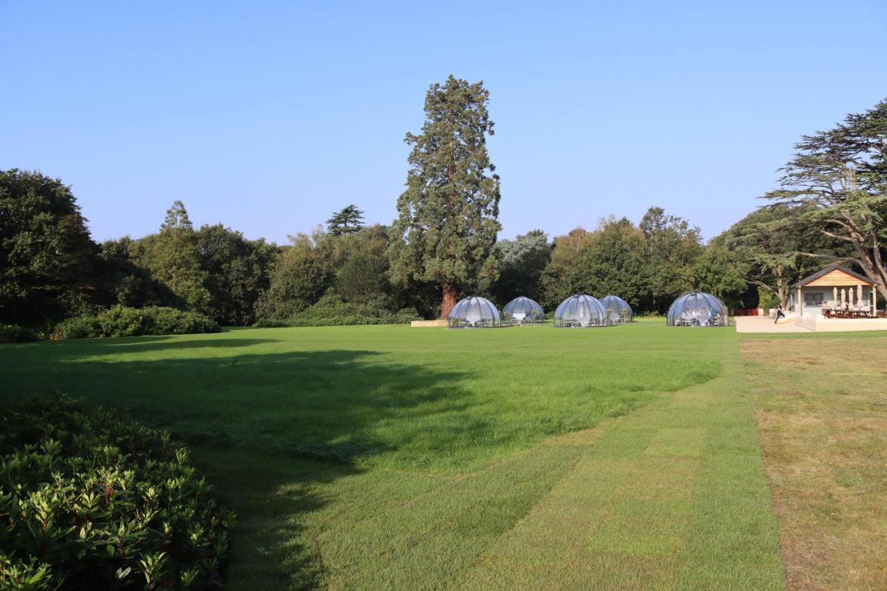 Sarisbury Green Orange Grove Hotel & Gardens المظهر الخارجي الصورة